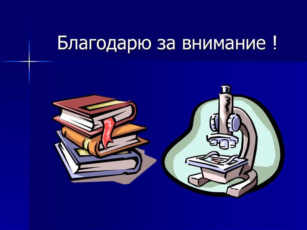 Благодарю за внимание !