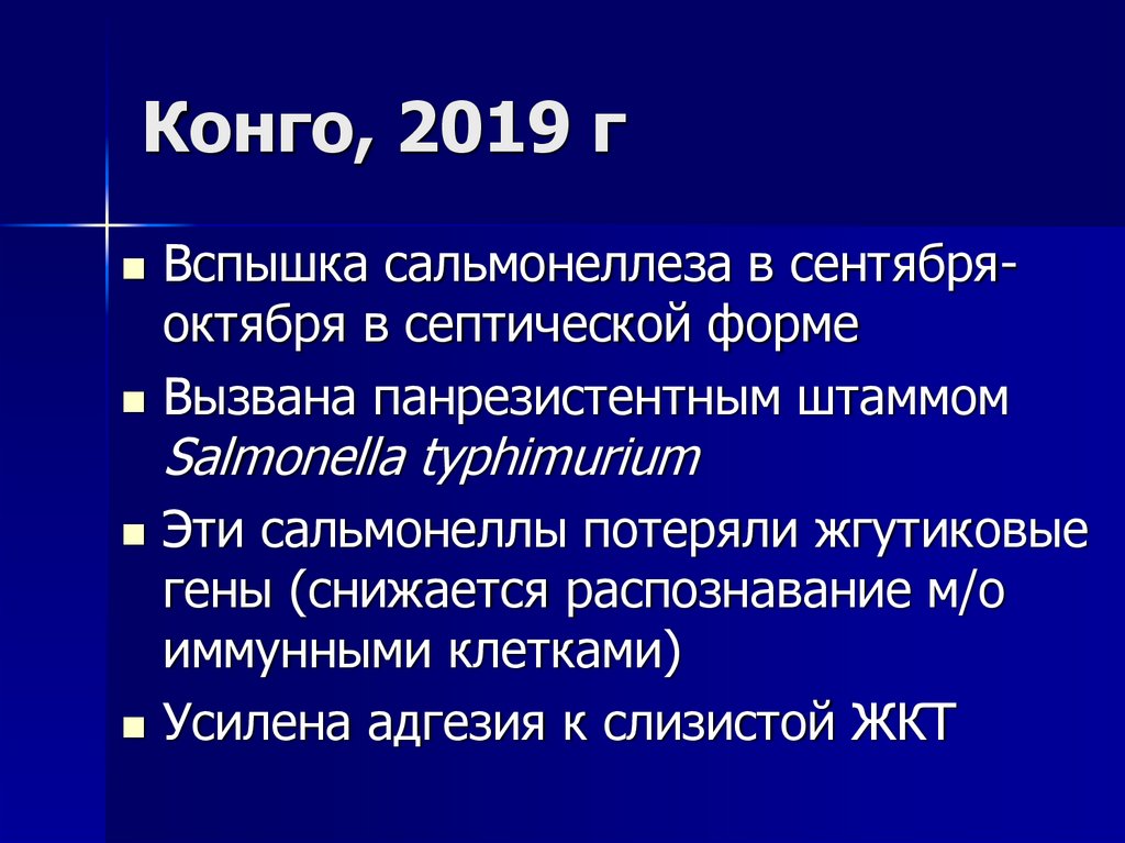 Конго, 2019 г