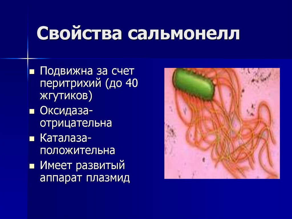 Свойства сальмонелл