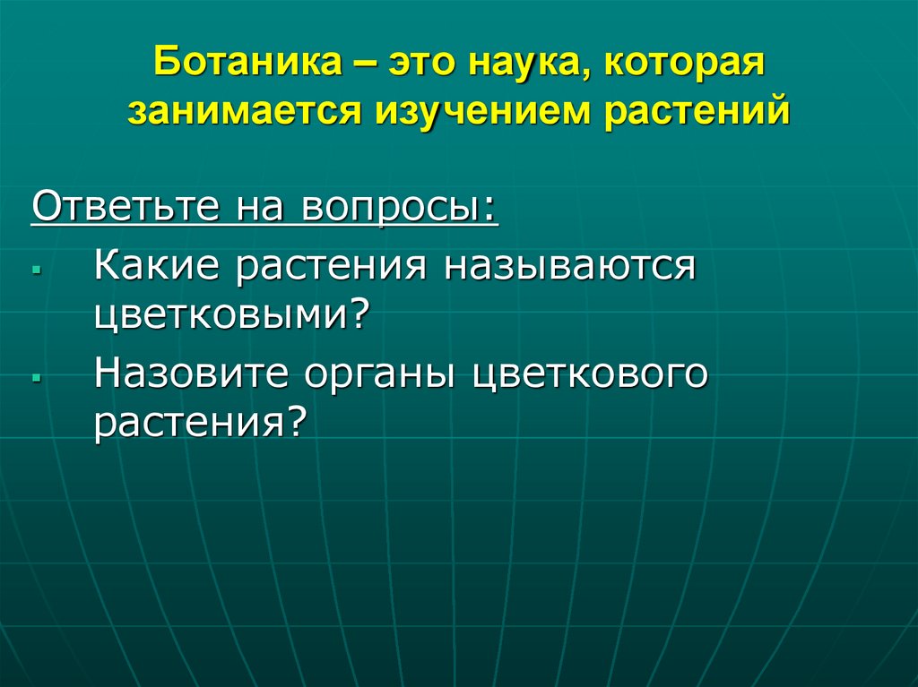 Ботаника – это наука, которая занимается изучением растений
