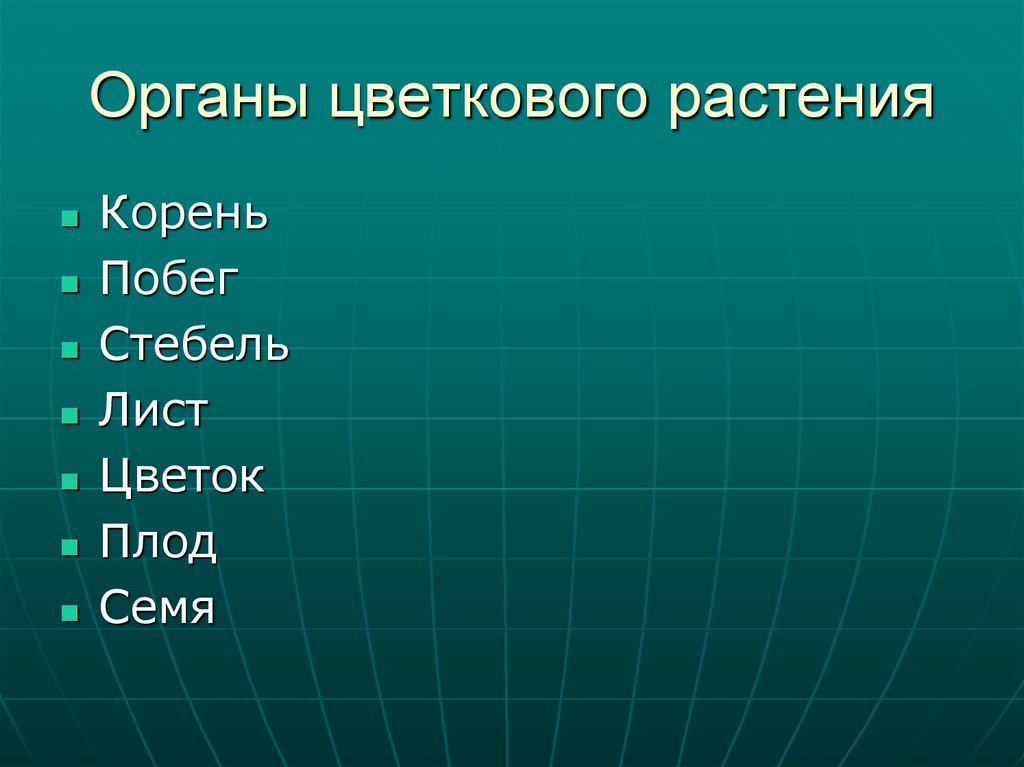Органы цветкового растения