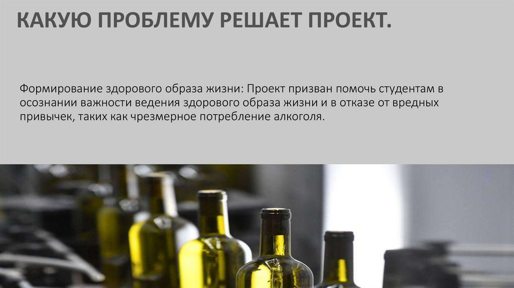 КАКУЮ ПРОБЛЕМУ РЕШАЕТ ПРОЕКТ.