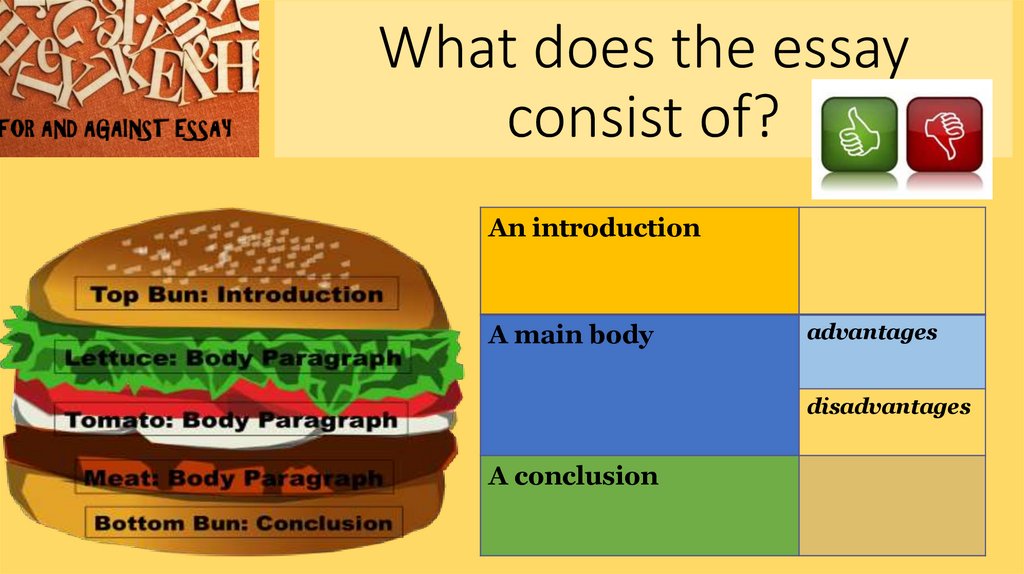 What does the essay consist of?