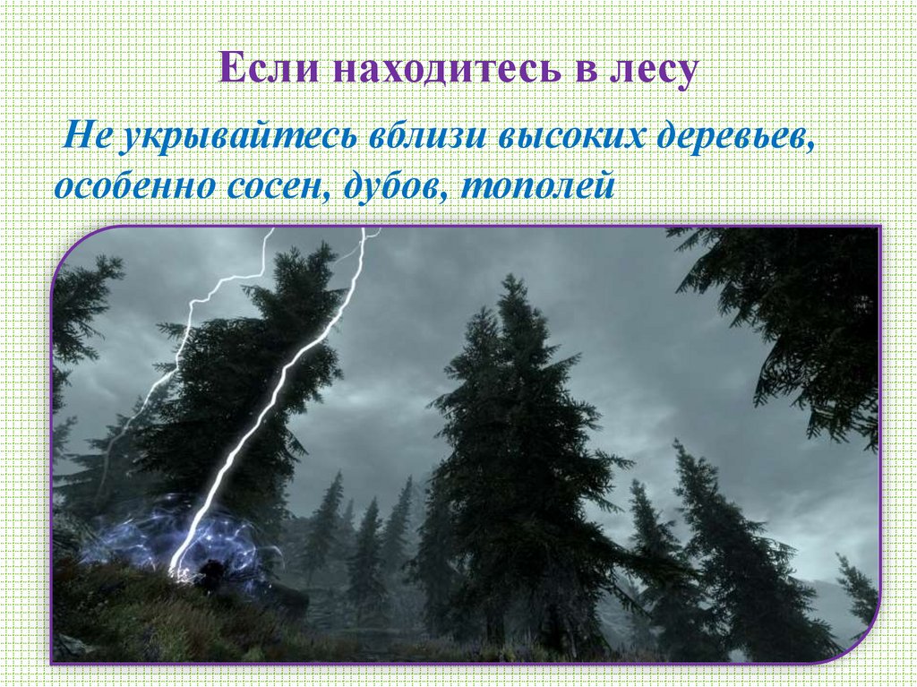 Если находитесь в лесу