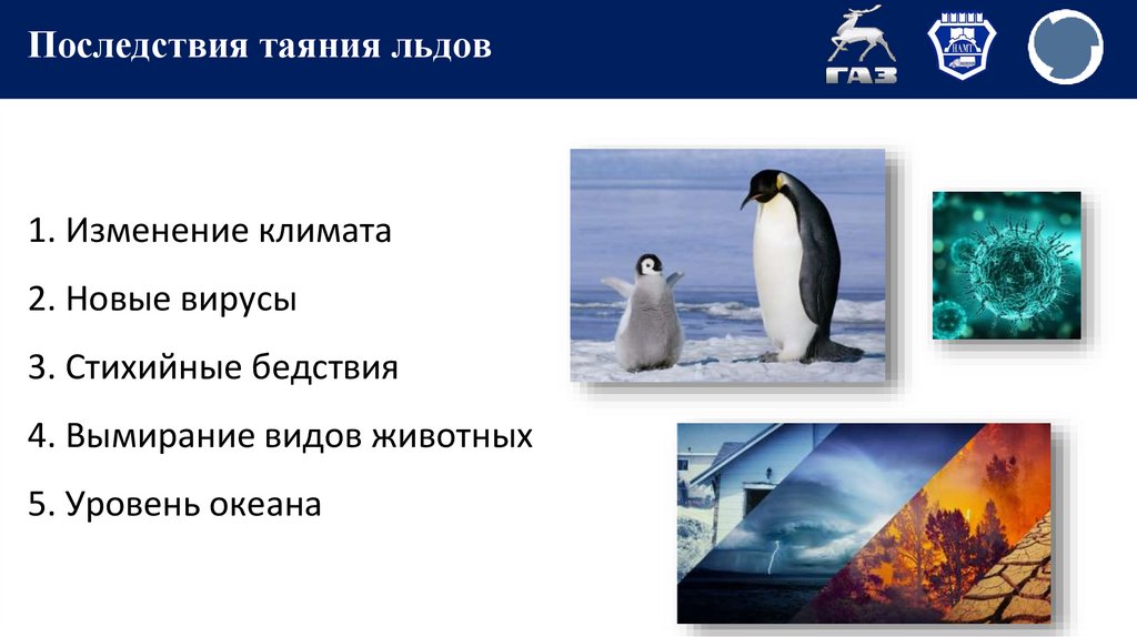 Последствия таяния льдов