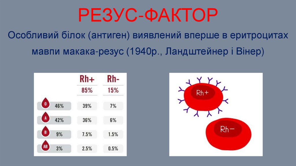 резус-фактор