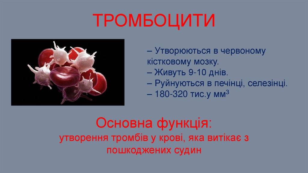 тромбоцити