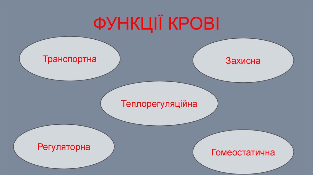 Функції крові