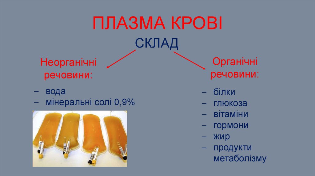 Плазма крові