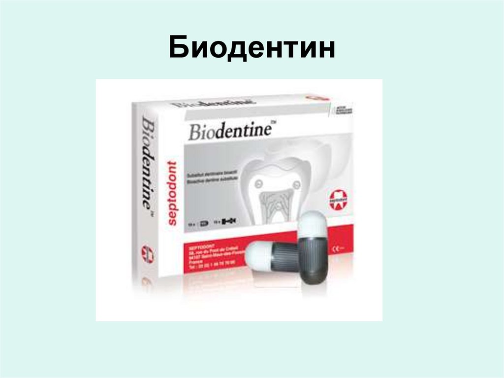 Биодентин