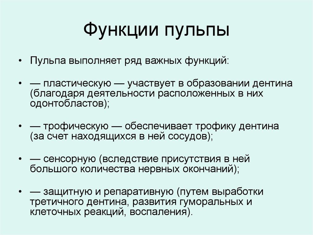 Функции пульпы