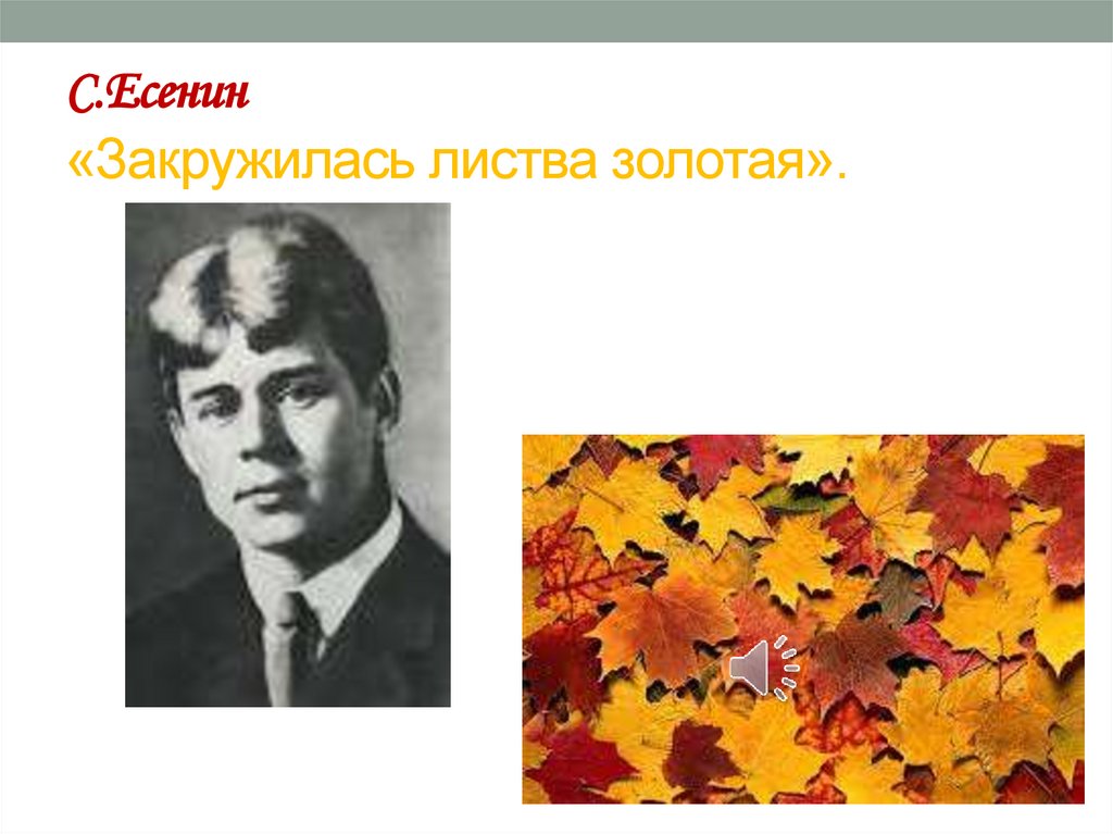 С.Есенин «Закружилась листва золотая».