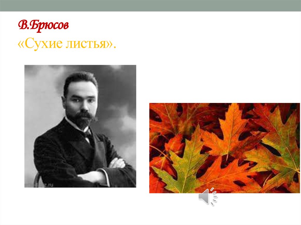 В.Брюсов «Сухие листья».