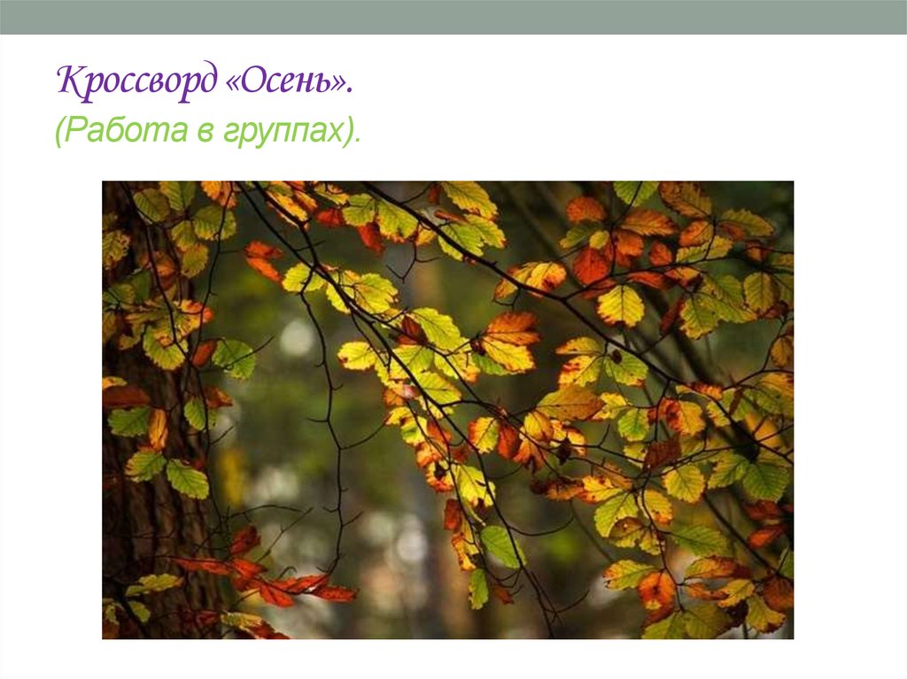 Кроссворд «Осень». (Работа в группах).