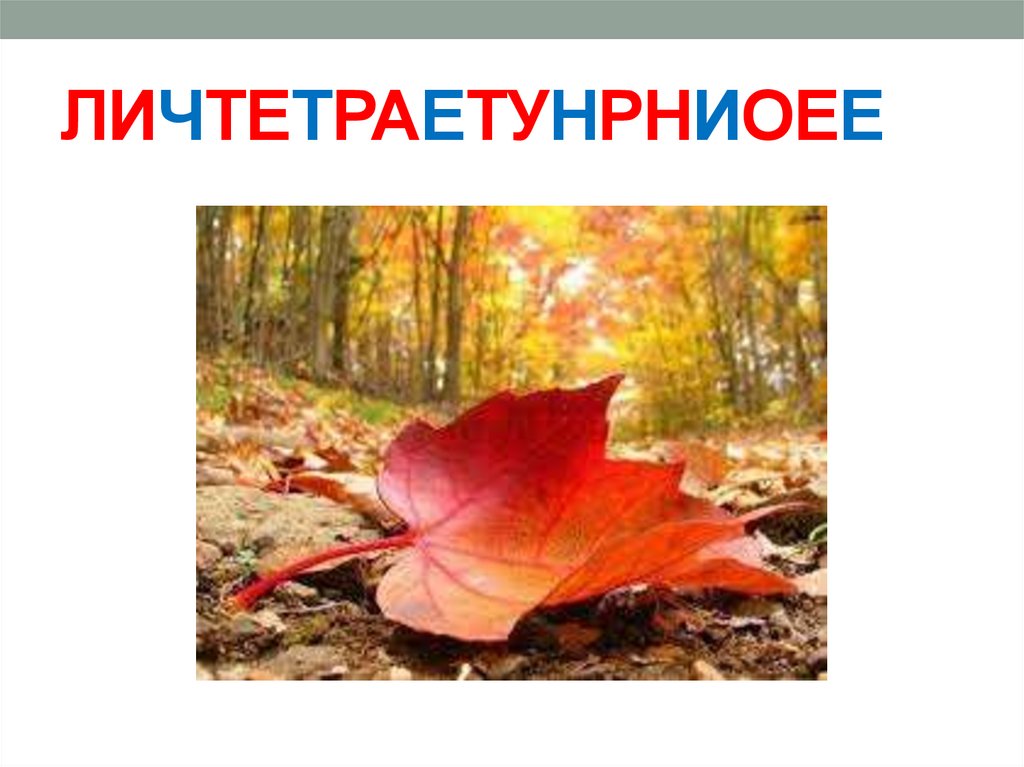 ЛИЧТЕТРАЕТУНРНИОЕЕ