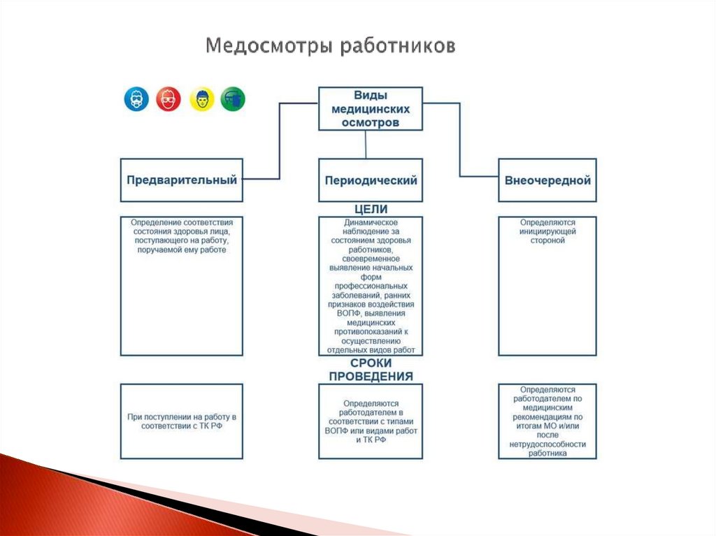 Медосмотры работников