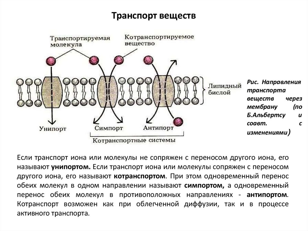 Транспорт веществ