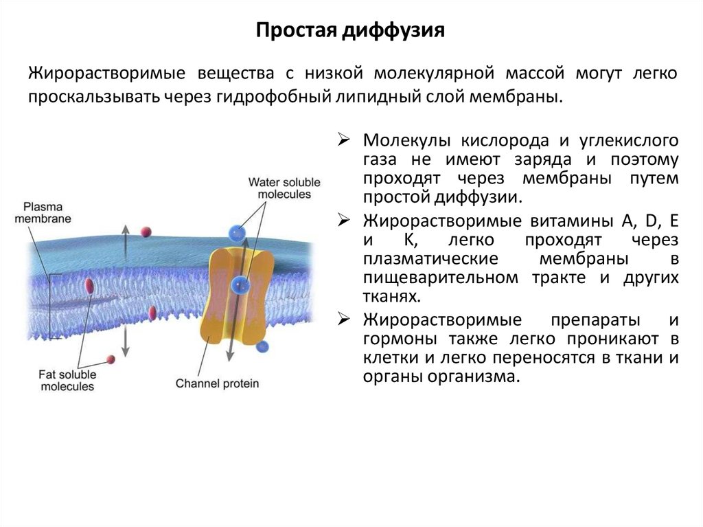 Простая диффузия