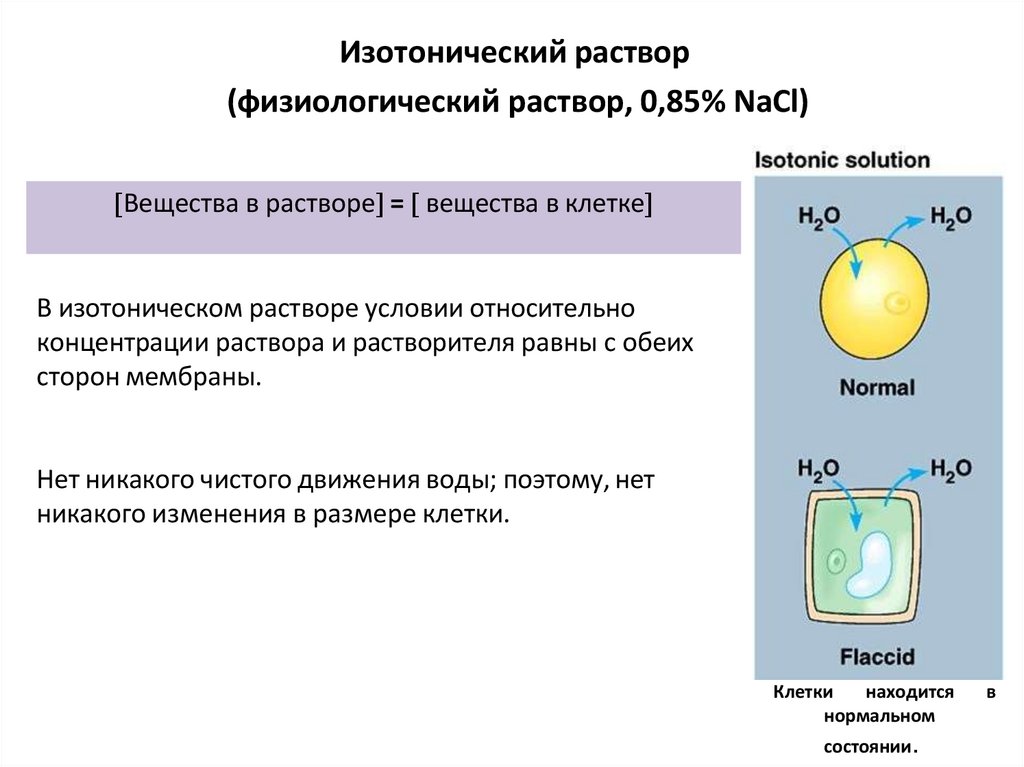 Изотонический раствор (физиологический раствор, 0,85% NaCl)