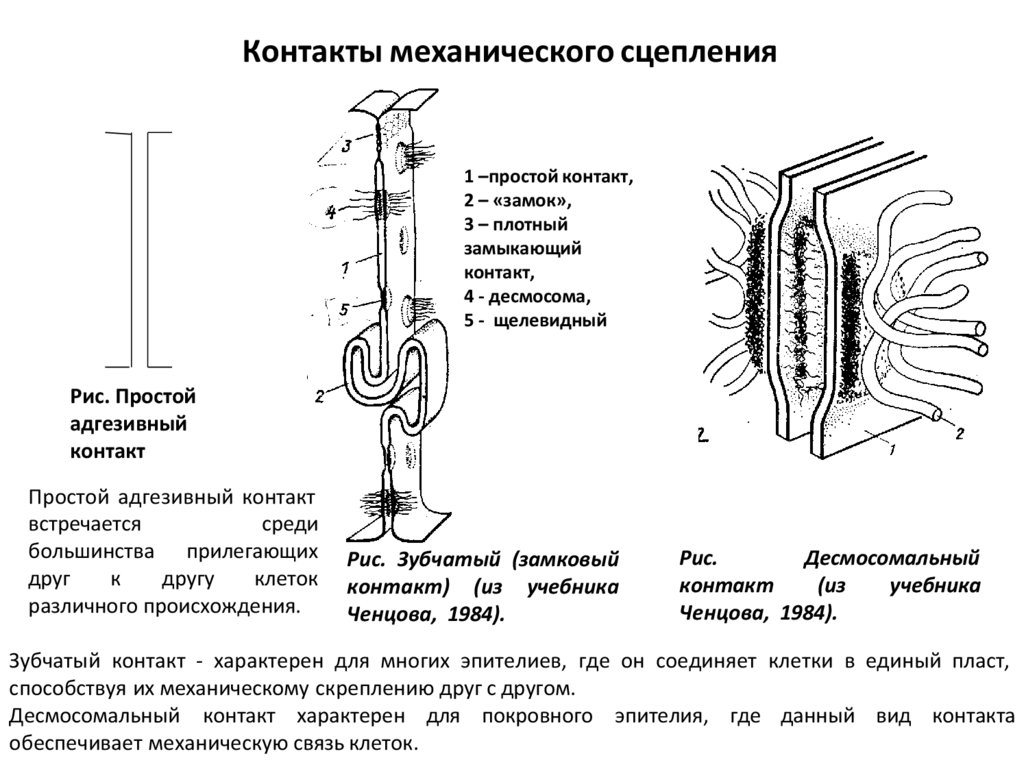 Контакты механического сцепления