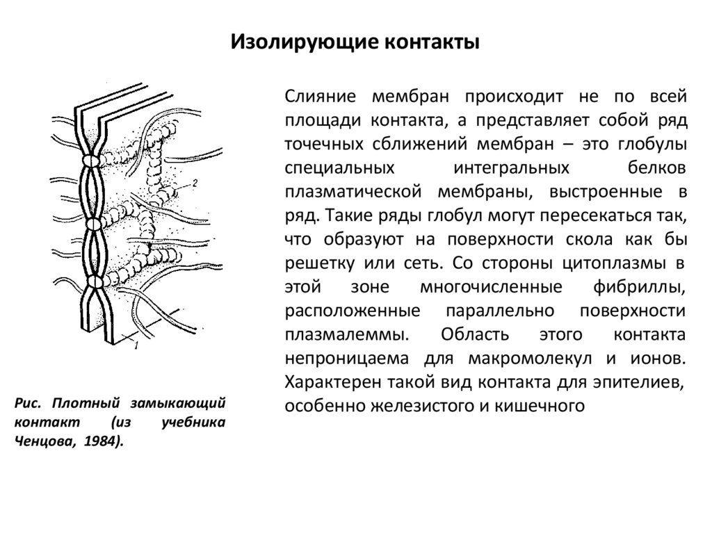 Изолирующие контакты