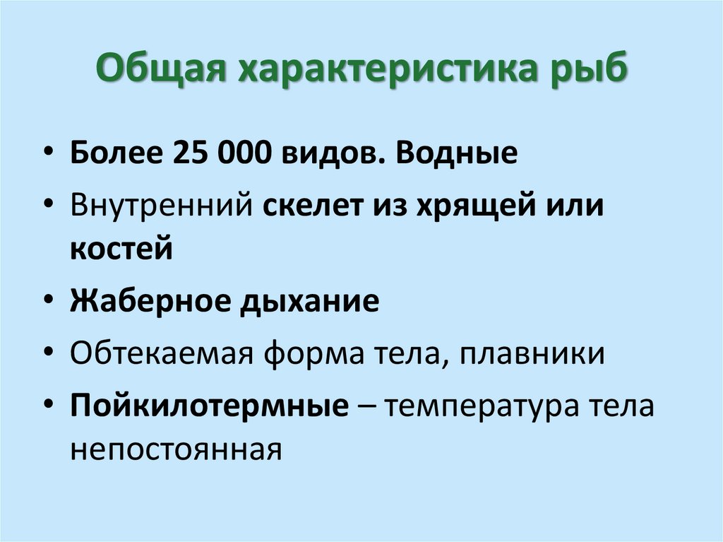 Общая характеристика рыб