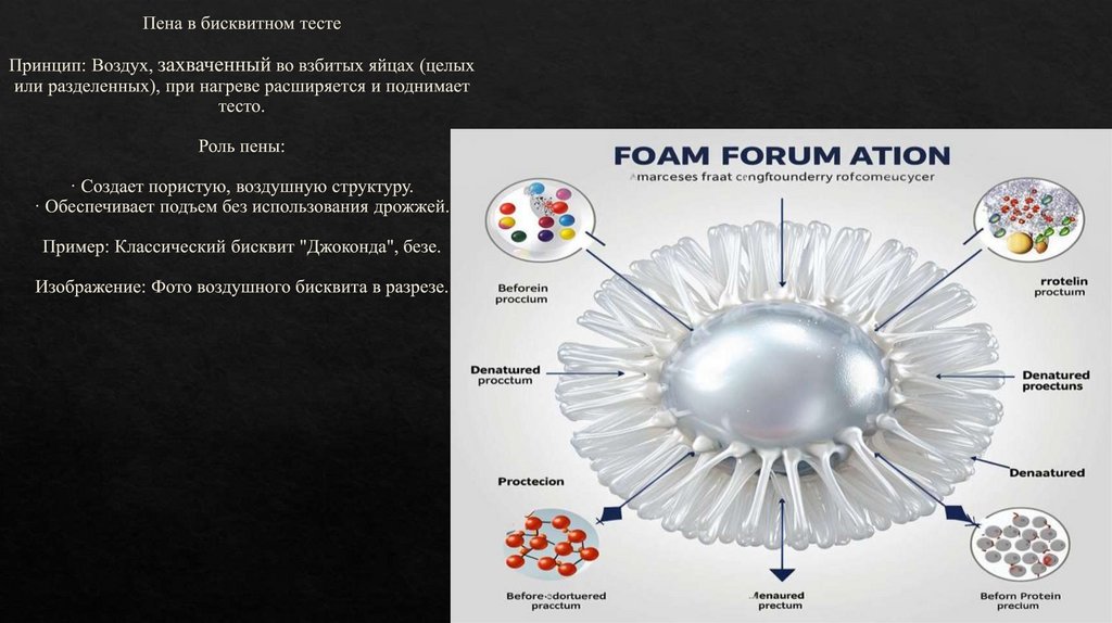 Пена в бисквитном тесте Принцип: Воздух, захваченный во взбитых яйцах (целых или разделенных), при нагреве расширяется и