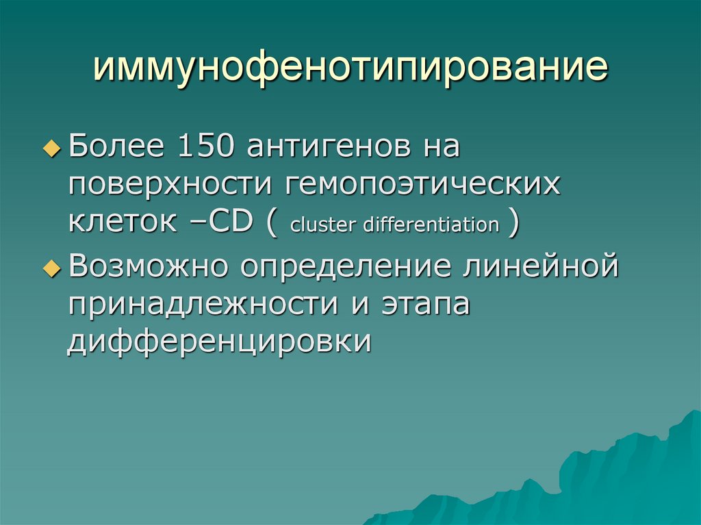 иммунофенотипирование