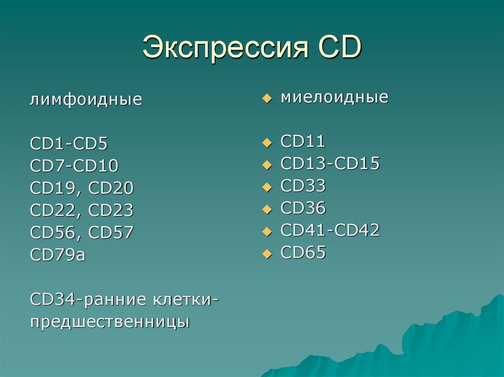 Экспрессия СD
