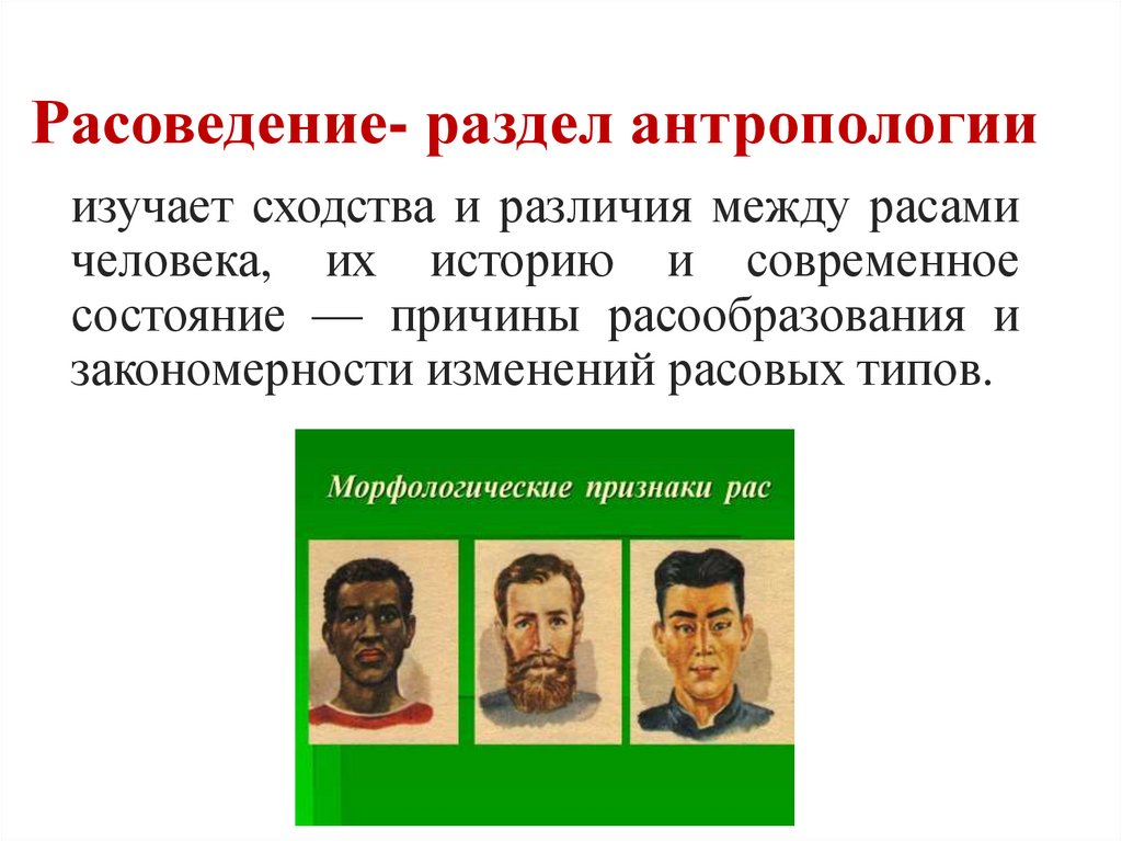 Расоведение- раздел антропологии