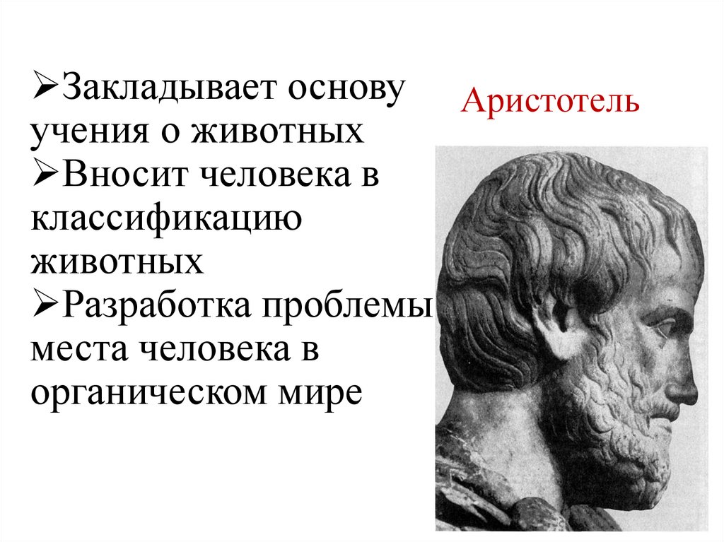 Аристотель