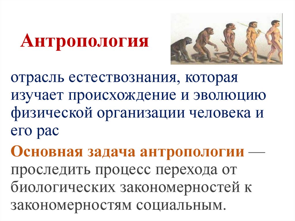 Антропология