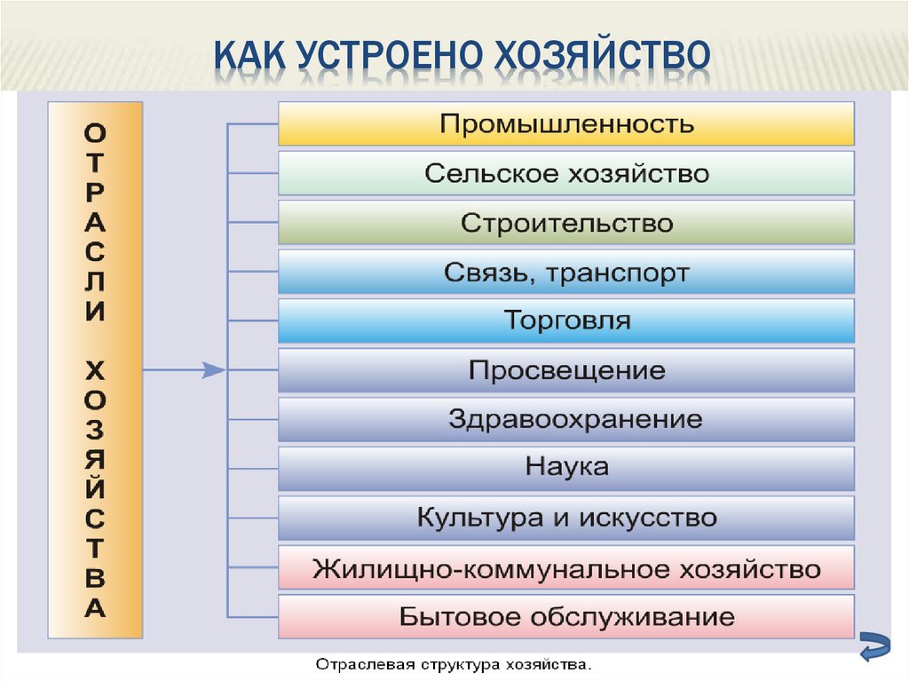 КАК УСТРОЕНО ХОЗЯЙСТВО