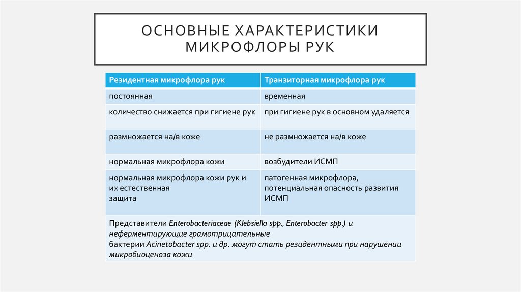 Основные характеристики микрофлоры рук