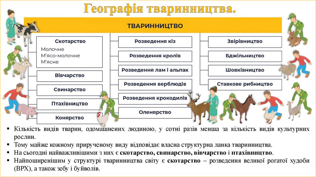 Географія тваринництва.