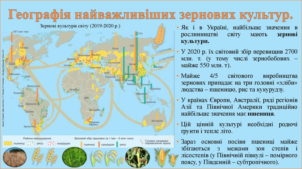 Географія найважливіших зернових культур.