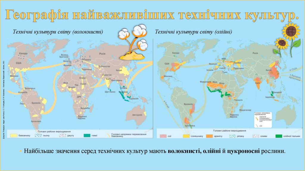 Географія найважливіших технічних культур.