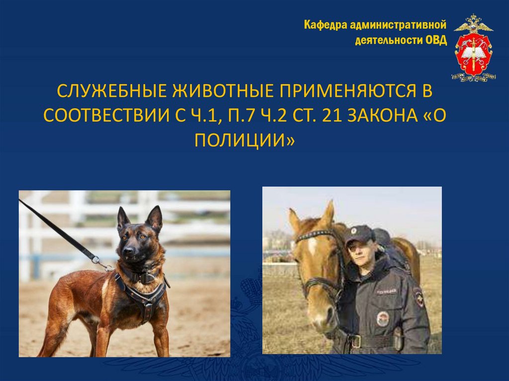 СЛУЖЕБНЫЕ ЖИВОТНЫЕ ПРИМЕНЯЮТСЯ В СООТВЕСТВИИ С Ч.1, П.7 Ч.2 СТ. 21 ЗАКОНА «О ПОЛИЦИИ»