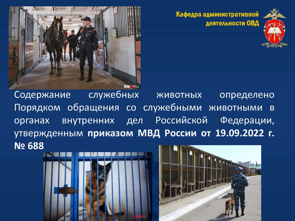 Содержание служебных животных определено Порядком обращения со служебными животными в органах внутренних дел Российской
