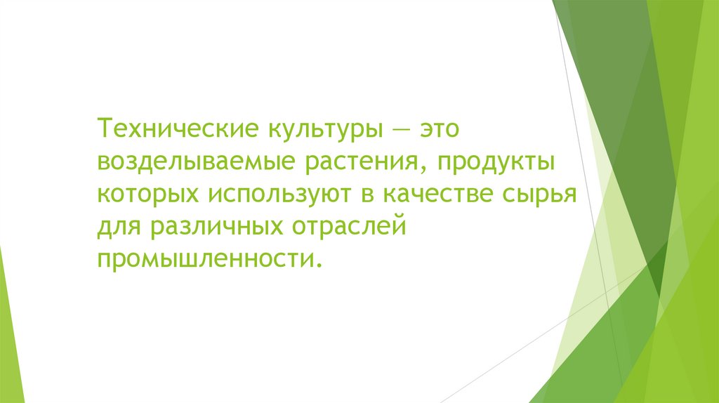 Технические культуры — это возделываемые растения, продукты которых используют в качестве сырья для различных отраслей