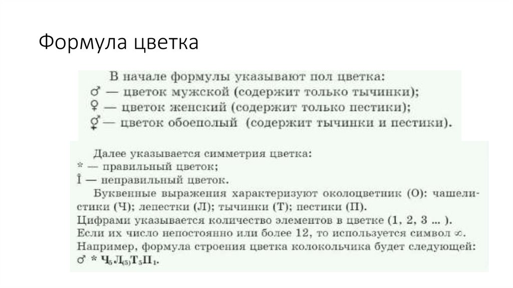 Формула цветка