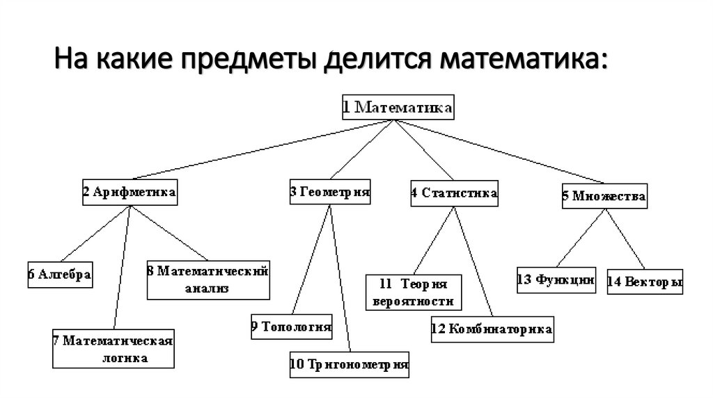 На какие предметы делится математика: