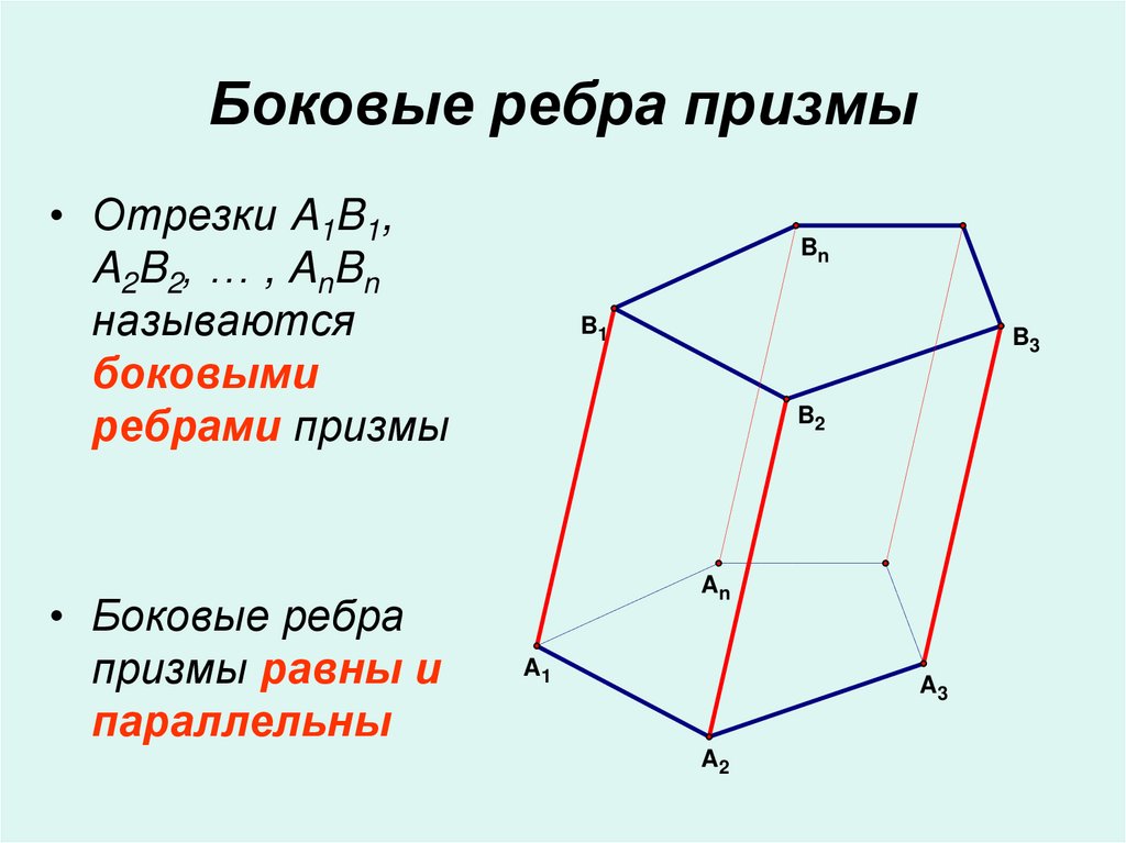 Боковые ребра призмы
