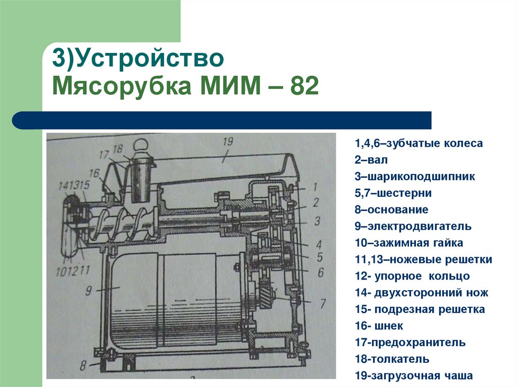 3)Устройство Мясорубка МИМ – 82
