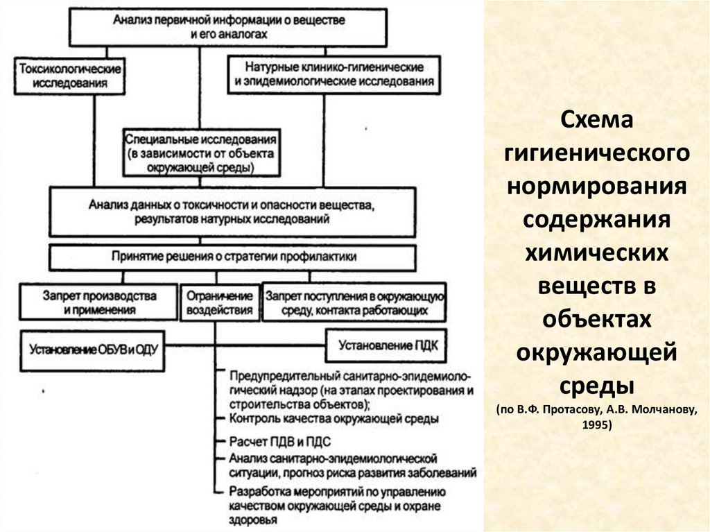 Схема гигиенического нормирования содержания химических веществ в объектах окружающей среды (по В.Ф. Протасову, А.В. Молчанову,