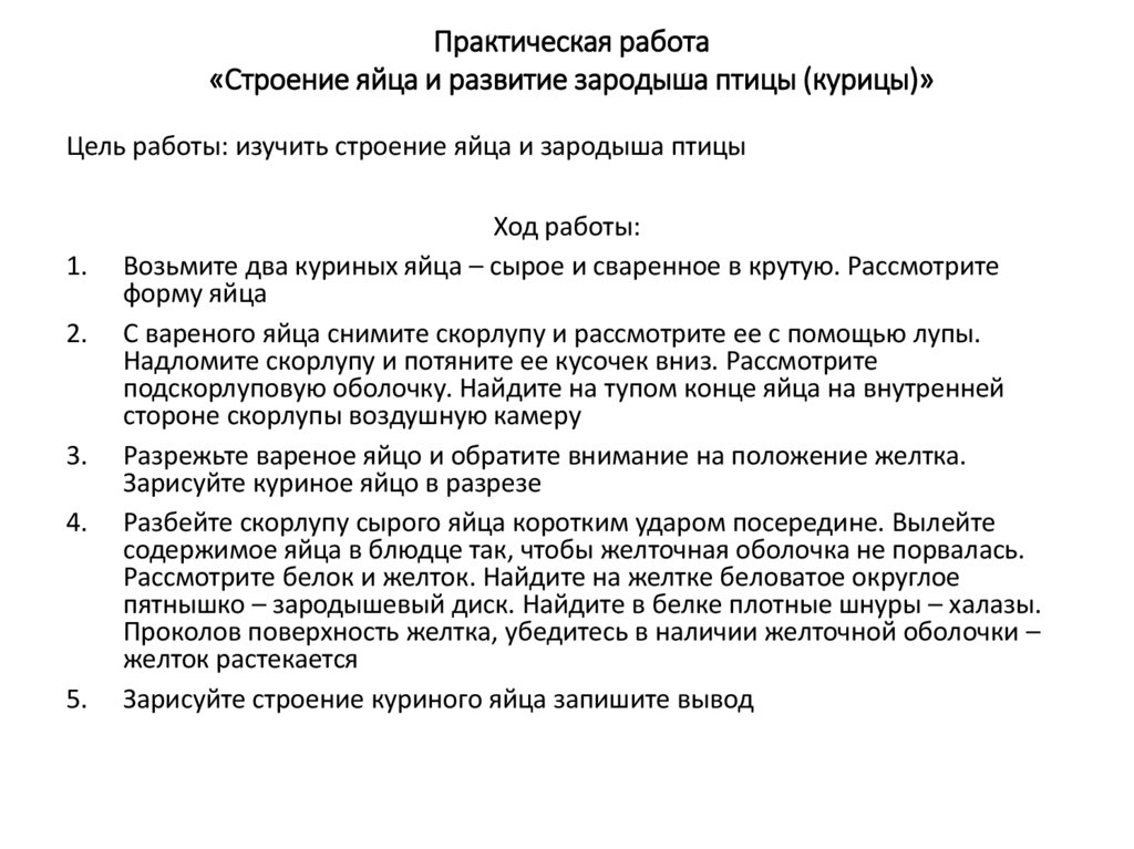 Практическая работа «Строение яйца и развитие зародыша птицы (курицы)»