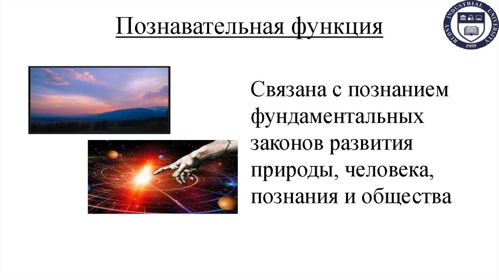 Познавательная функция