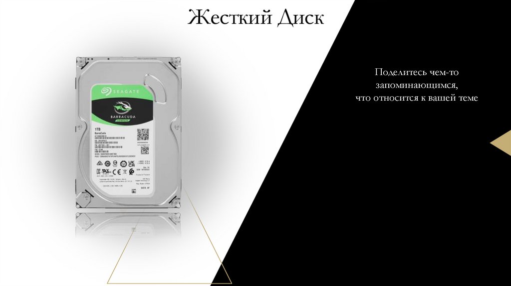 Жесткий Диск