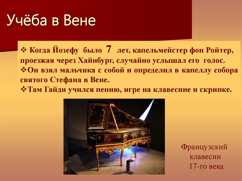 Учёба в Вене