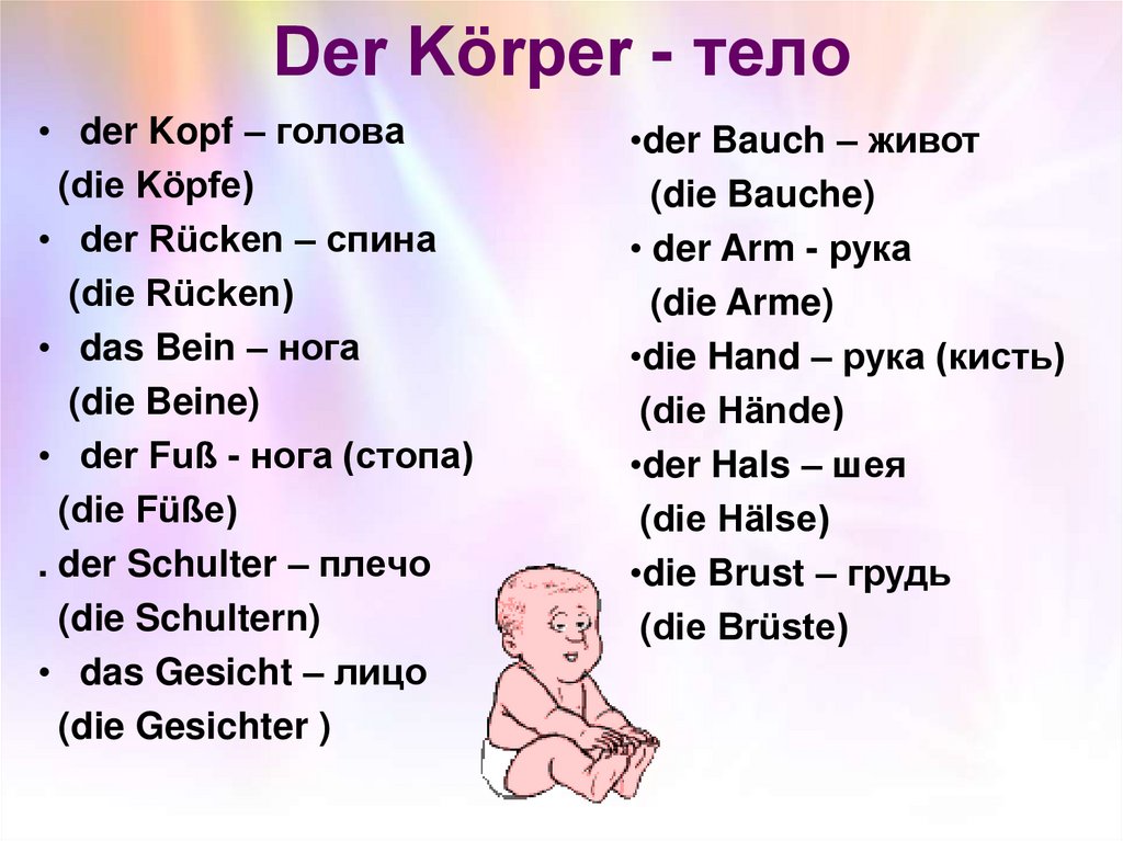 Der Körper - тело